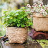 Straw Basket Style Concrete Planter - RusticReach