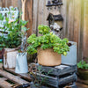 Straw Basket Style Concrete Planter - RusticReach