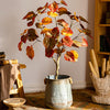 Artificial Silk Red Leaf Banyan Tree In Pot - RusticReach