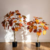 Artificial Silk Red Leaf Banyan Tree In Pot - RusticReach