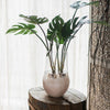 Artificial Faux Real Touch Turtle Leaf Stem Bunch - RusticReach