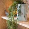 Artificial Faux Usnea Vine Stem 22" Long - RusticReach