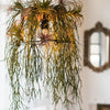 Artificial Faux Usnea Vine Stem 22" Long - RusticReach