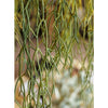 Artificial Faux Usnea Vine Stem 22" Long - RusticReach