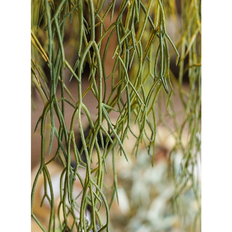 Artificial Faux Usnea Vine Stem 22" Long - RusticReach