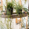 Artificial Faux Usnea Vine Stem 22" Long - RusticReach