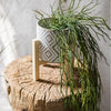 Artificial Faux Usnea Vine Stem 22" Long - RusticReach