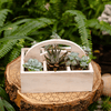 Wooden Desktop Organizer Succulent Planter - RusticReach