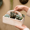 Wooden Desktop Organizer Succulent Planter - RusticReach