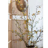 Long Weigela Flower Stem 63" Tall - RusticReach