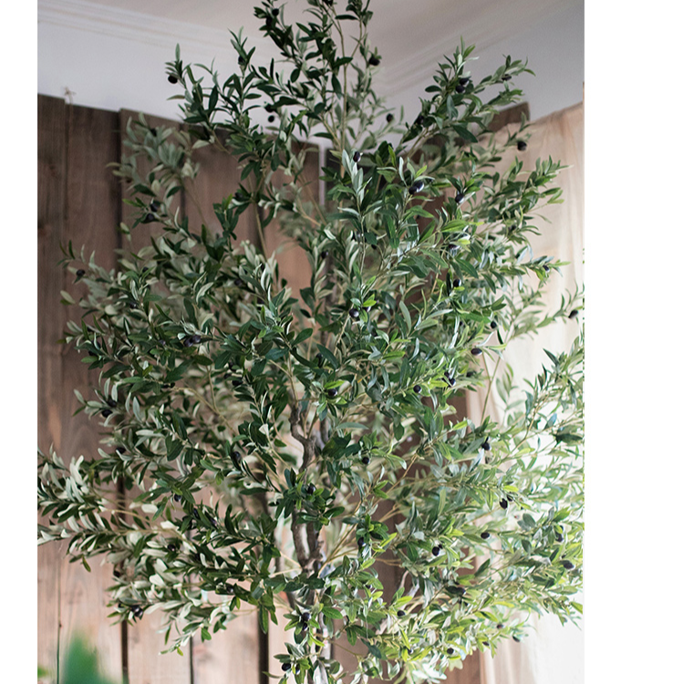 Extra Large Tall Olive Tree 118" Tall