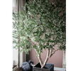 Extra Large Artificial Olive Tree 90" Tall - RusticReach