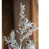 Cedar Fir Tree Snow Flocked Christmas Tree in Paper Wrapped Base - RusticReach