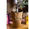 Cedar Fir Tree Snow Flocked Christmas Tree in Paper Wrapped Base - RusticReach