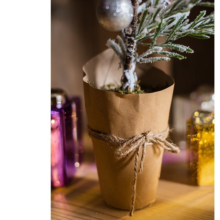 Cedar Fir Tree Snow Flocked Christmas Tree in Paper Wrapped Base - RusticReach