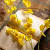 Faux Silk Artificial Yellow Dancing Lady Orchid Stem Bundle 19" Tall - RusticReach