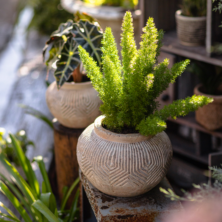 Yukun Terracotta Planter Pot