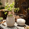 Yukun Terracotta Planter Stoneware - RusticReach