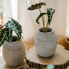 Yukun Terracotta Planter Stoneware - RusticReach