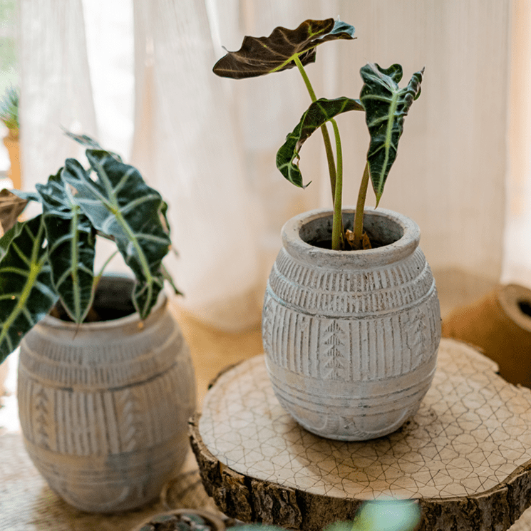 Yukun Terracotta Planter Stoneware - RusticReach
