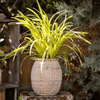 Yukun Terracotta Planter Stoneware - RusticReach