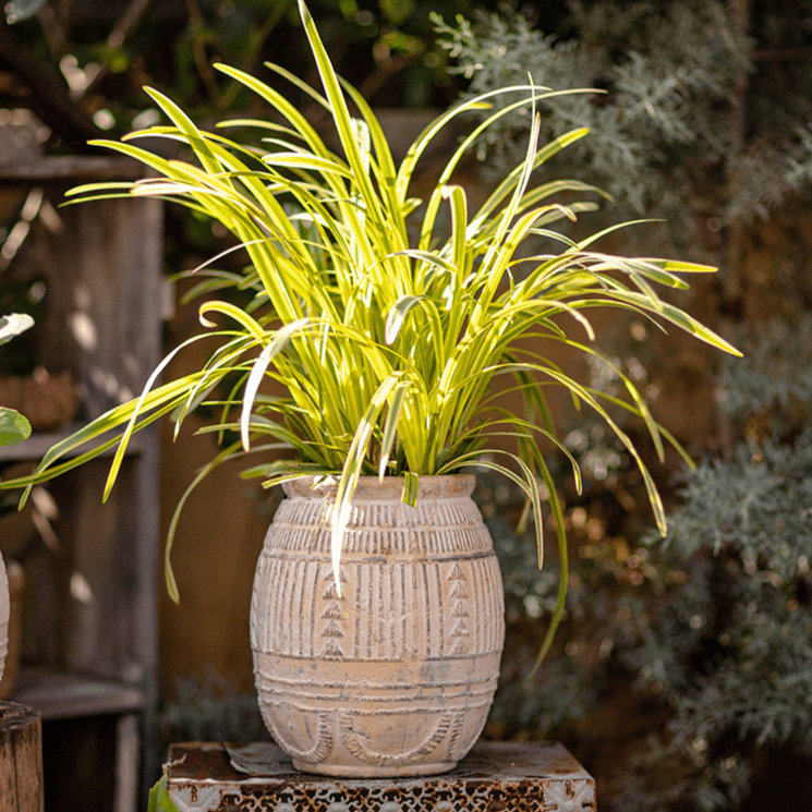 Yukun Terracotta Planter Stoneware - RusticReach