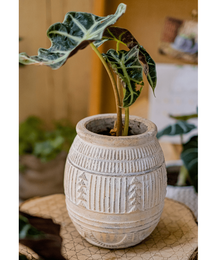 Yukun Terracotta Planter Stoneware - RusticReach