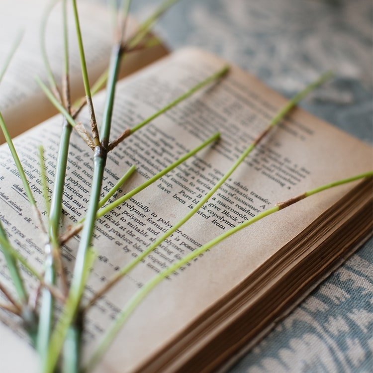 Artificial Zen Style Bamboo Stem 30" Tall - RusticReach