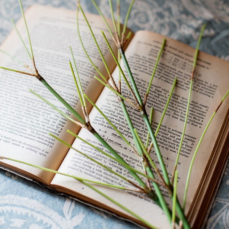 Artificial Zen Style Bamboo Stem 30" Tall - RusticReach