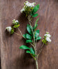 Artificial Asakusa Tea Leaf Stem - RusticReach