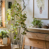 Artificial Silk Bauhinia Tree In Pot - RusticReach