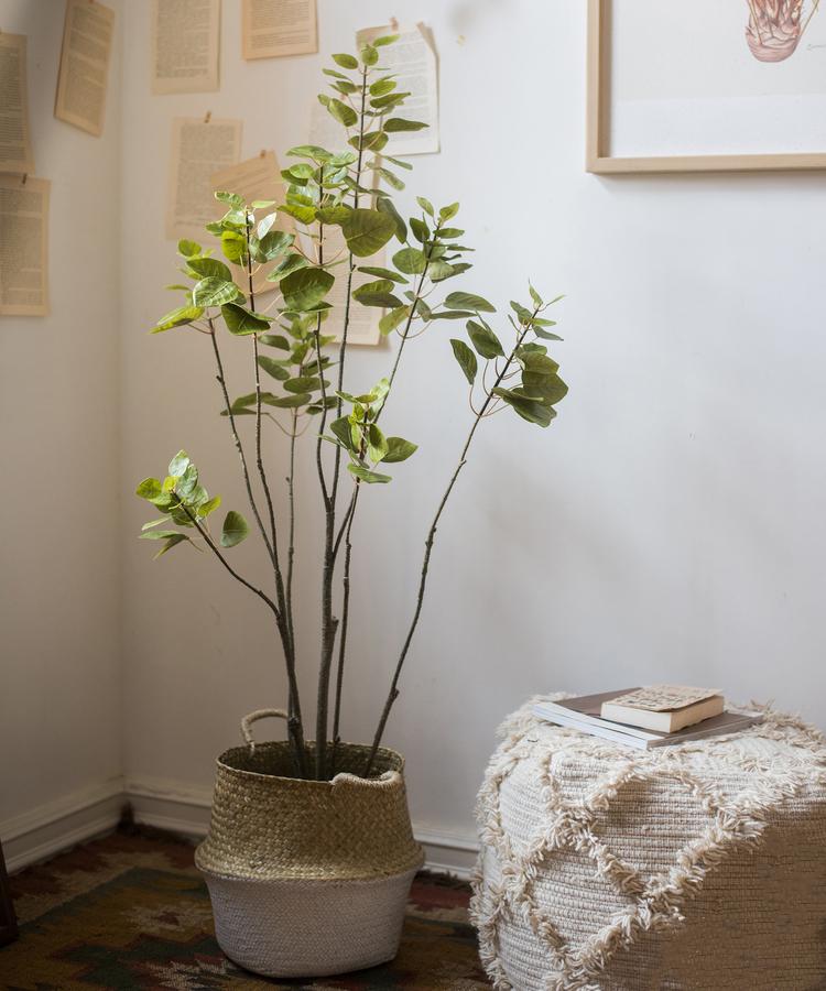 Artificial Silk Bauhinia Tree In Pot - RusticReach