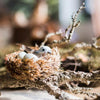 Artificial Bird Nest Ornament Randomly Picked Set of 2 - RusticReach