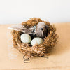 Artificial Bird Nest Ornament Randomly Picked Set of 2 - RusticReach