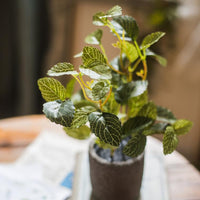 Artificial Bonsai Reticulate Leaf Potted Plant 11" Tall RusticReach 