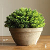 Artificial Faux Boxwood Topiary in Various Designs - RusticReach