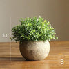 Artificial Faux Boxwood Topiary in Various Designs - RusticReach