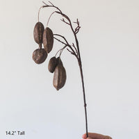 Artificial Cocoa Branch Stem 14" Tall RusticReach 