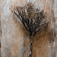 Artificial Coral Shaped Twig Stem 14" Tall RusticReach 