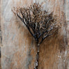 Artificial Coral Shaped Twig Stem 14" Tall - RusticReach