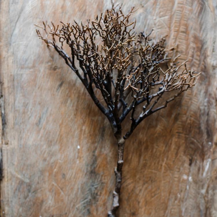 Artificial Coral Shaped Twig Stem 14" Tall - RusticReach