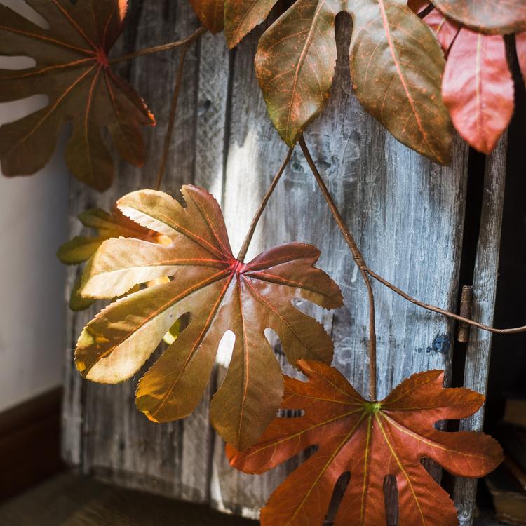 Artificial Fatsia Leaf in Autumn Red 32" Tall Faux - RusticReach