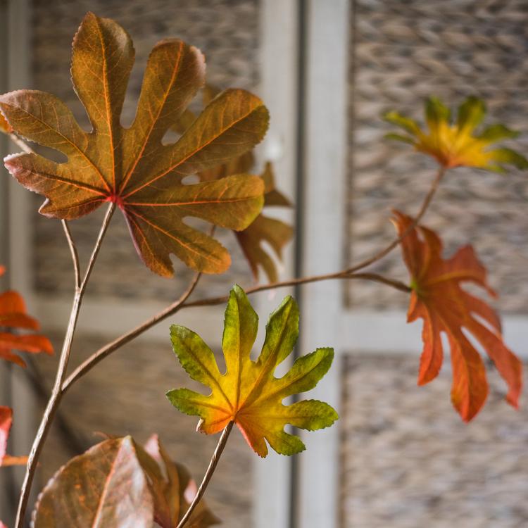 Artificial Fatsia Leaf in Autumn Red 32" Tall Faux - RusticReach