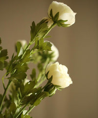 Artificial Flower Buttercup Flower Stem 28" Tall - RusticReach