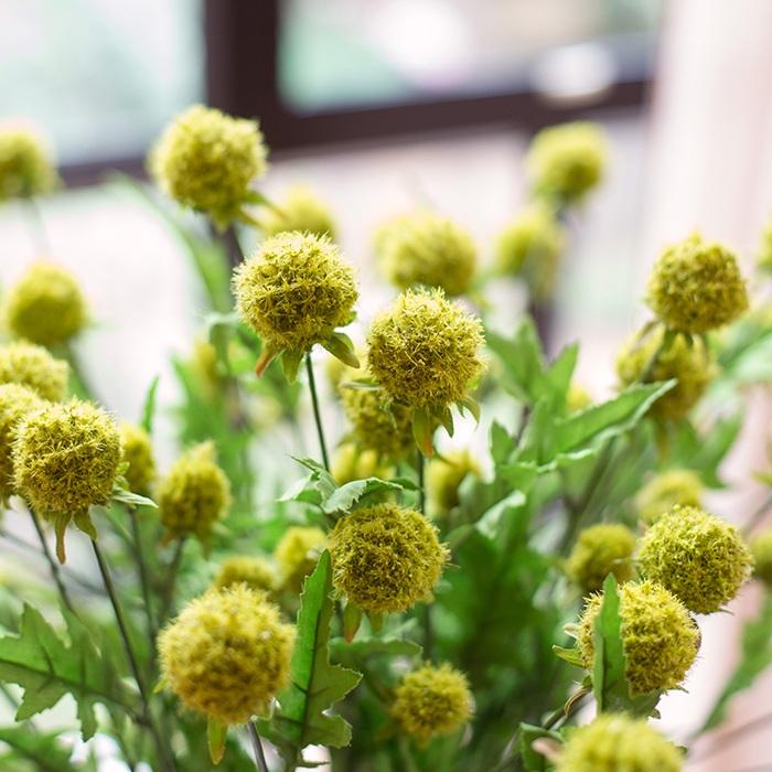 Pompon Button Green Flowers