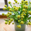 Faux Silk Artificial Flower Pompom Stem 28" Tall - RusticReach