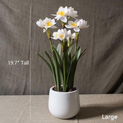 Artificial Silk Real Touch Daffodil Flower Bonsai - RusticReach