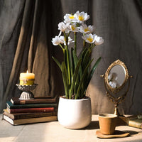 Artificial Flower Real Touch Daffodil Flower Bonsai RusticReach 
