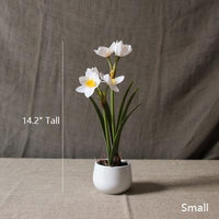 Artificial Flower Real Touch Daffodil Flower Bonsai RusticReach 