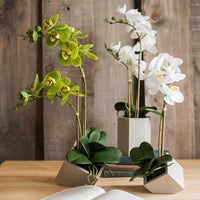Artificial Flower Real Touch Orchid Plant in Green and White RusticReach 
